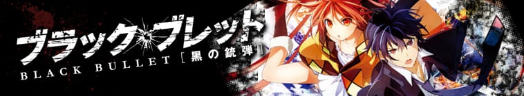 Black Bullet