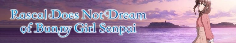 Rascal Does Not Dream of Bunny Girl Senpai