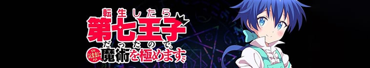 I Was Reincarnated as the 7th Prince so I Can Take My Time Perfecting My Magical Ability