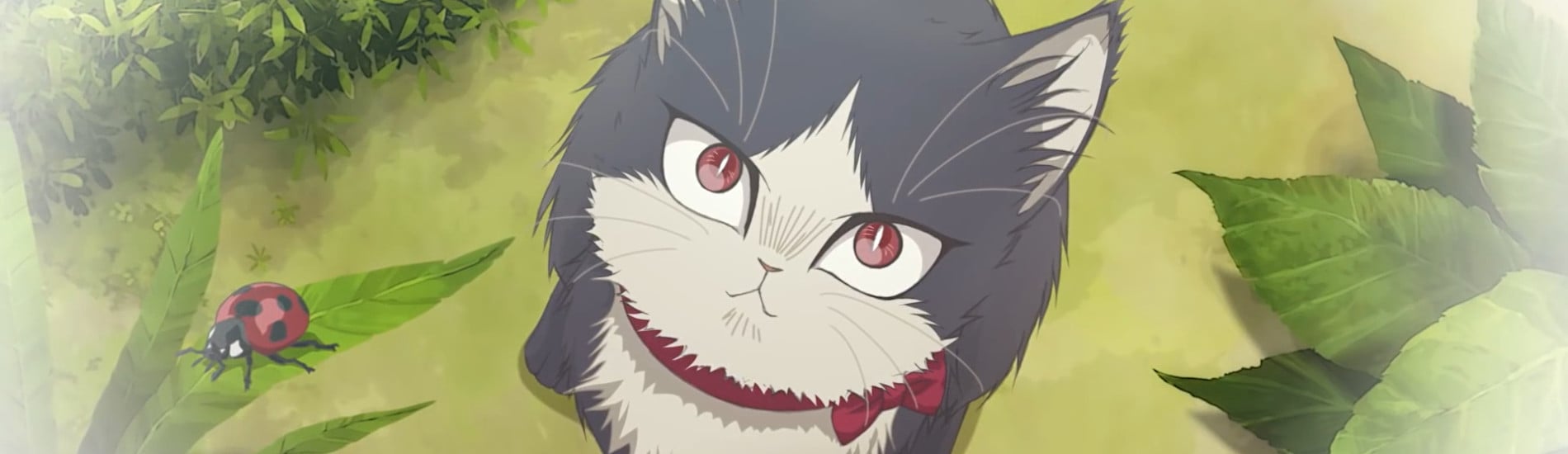 My Roommate is a Cat